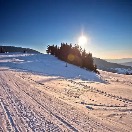 Hotel Wierchomla & 3*