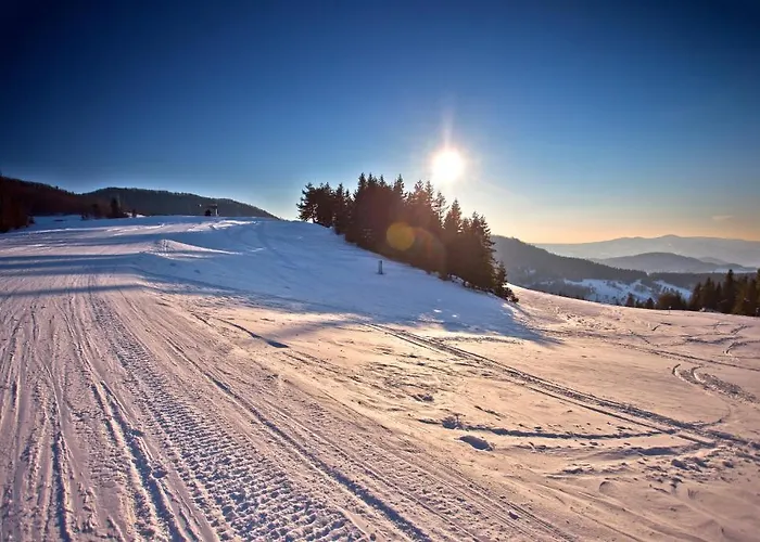 Hotel Wierchomla & 3*